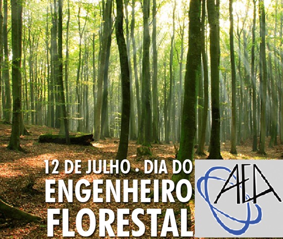 12 de Julho – Dia do Engenheiro Florestal